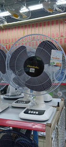 White black Centric Electric Fan